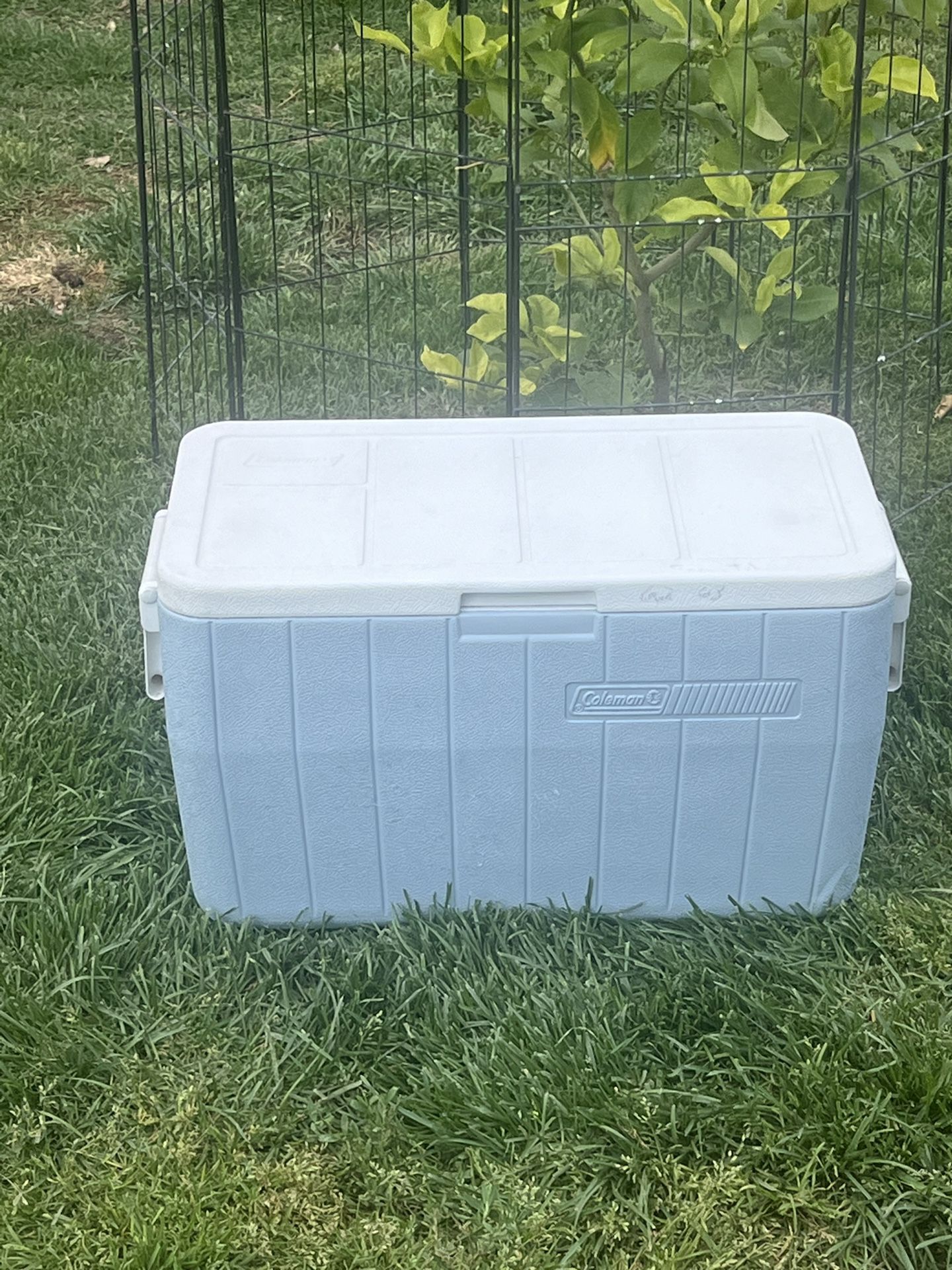 COLEMAN,ICE CHEST,COOLER
