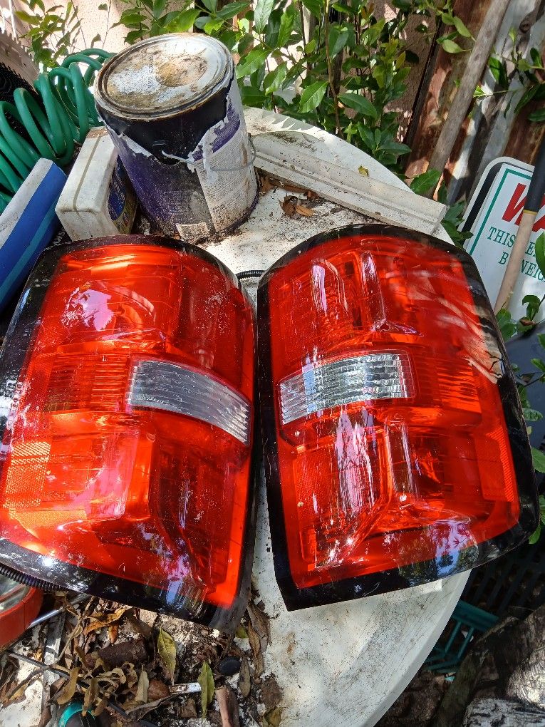 Chevy Truck Tail Light's