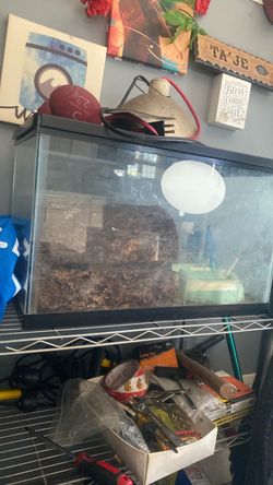 10 gallon aquarium tank