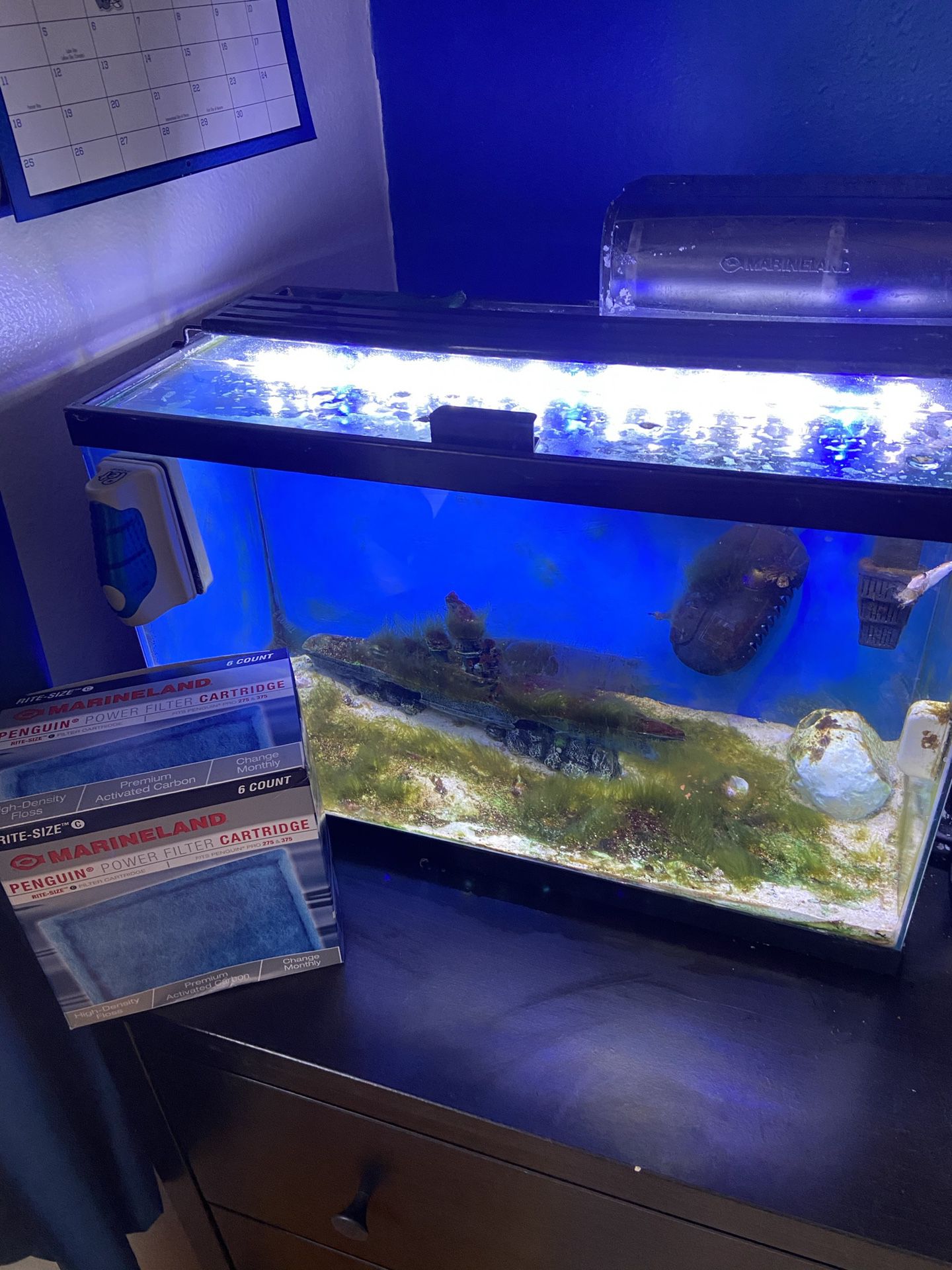 10 gallon saltwater aquarium filter heater full spectrum lighting salt sand decorations