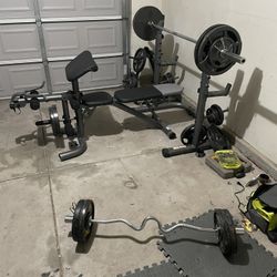 Bench and Weights 