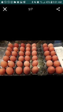 Organic brown eggs. FREE DELIVERY IF YOU BUY 3 DOZENS OR MORE.