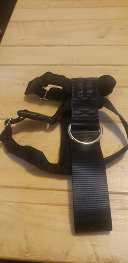 Small Body harness , 22 " choke collar