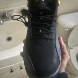 jordan 12 