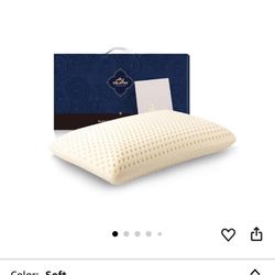 Talatex Premium Latex Pillow – Queen (Soft)