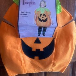 Toddler Girl Pumpkin Costume 