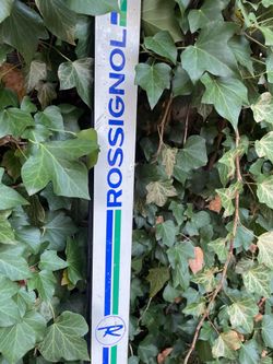 Cross Country Skis (Rossignol)