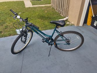 ROADMASTER 26 INCH  / 18 SPEED WOMAN'S BICYCLE. IT IS PAINT ON THE SEAT, IT IS NOT TORN.