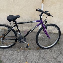 Adult Bike
