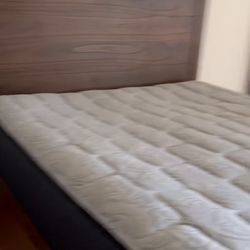 Queen Sized Bed With Frame 