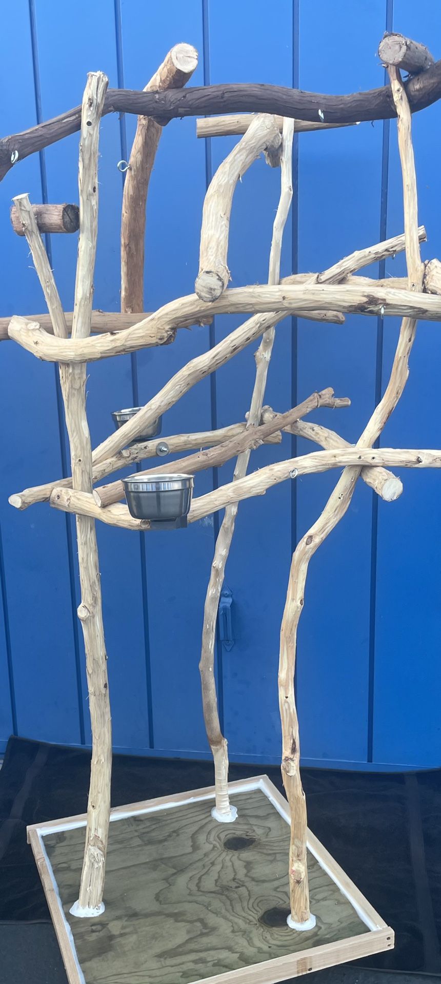 Macaw Perch Tree…, Thick N Gnarly With An Artsy / Rustic Look… A Macaw Must Have For Socialization!! ❤️