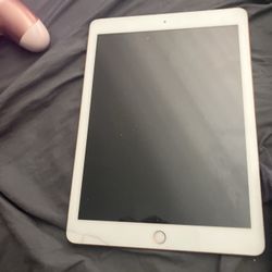 iPad Mini 