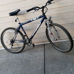 Schwinn Bike