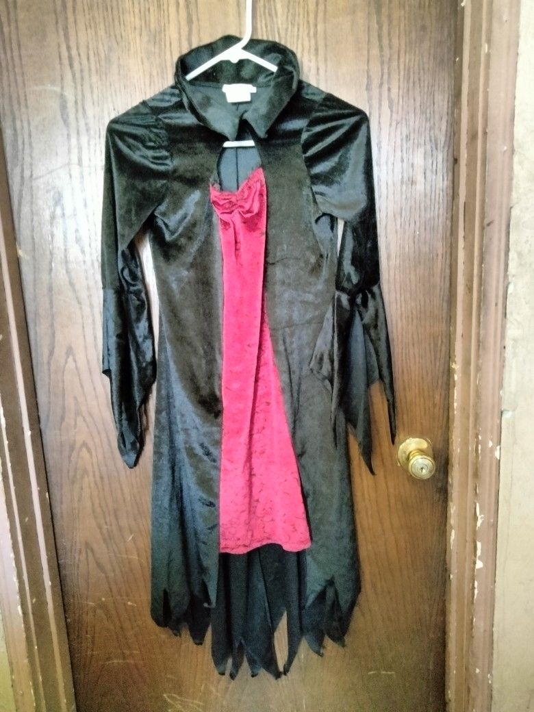 Witch/She-Devil Costume