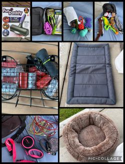 Dog Bed and Accessories