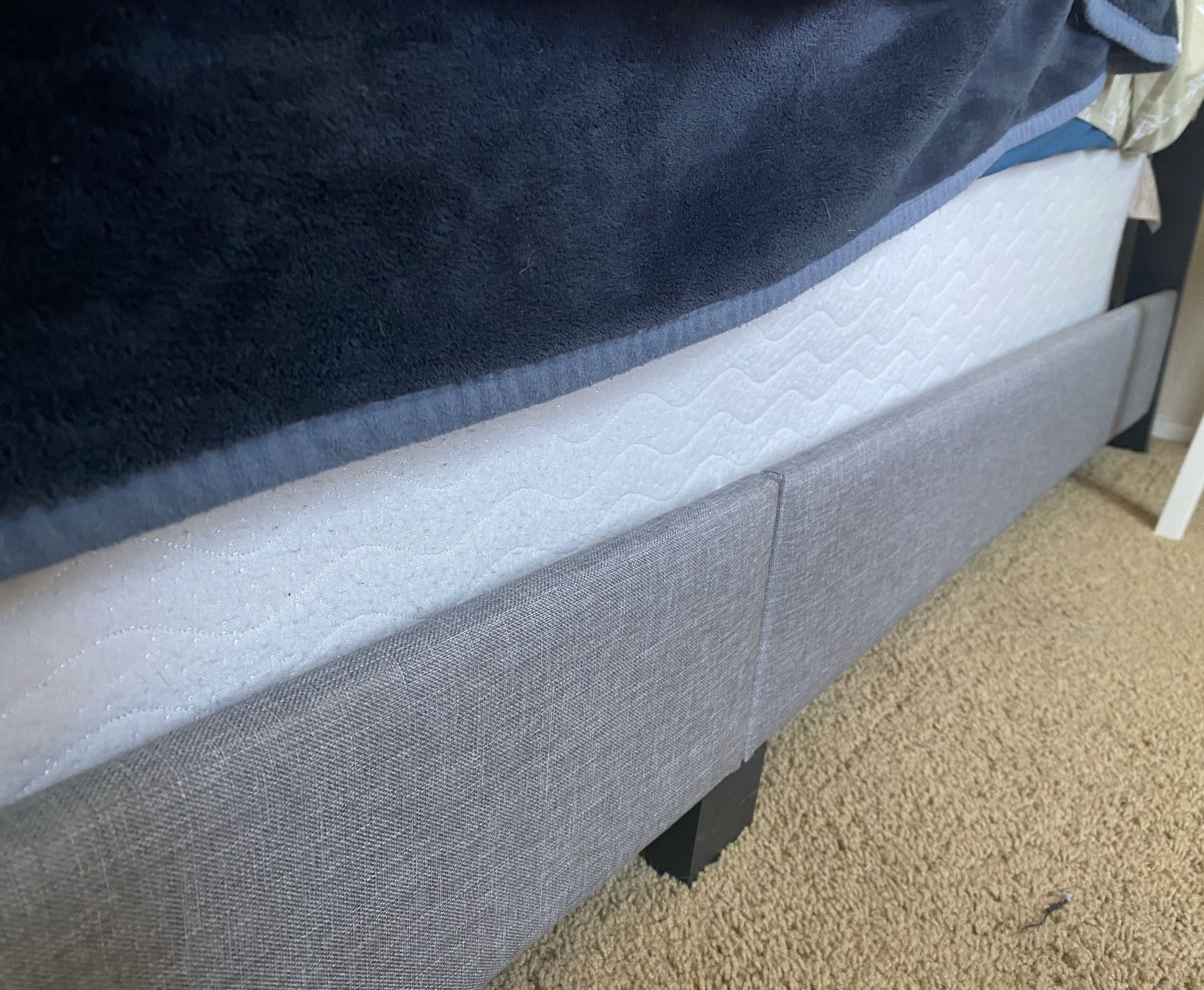 Free Queen Box spring
