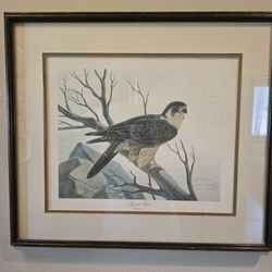 John Ruthven "Peregrine Falcon" signed lithograph