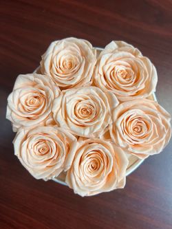 Roses in box - peach