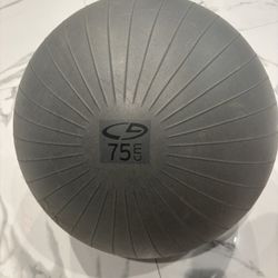 Physical Therapy/ Fitness Ball (75 cm Size) 