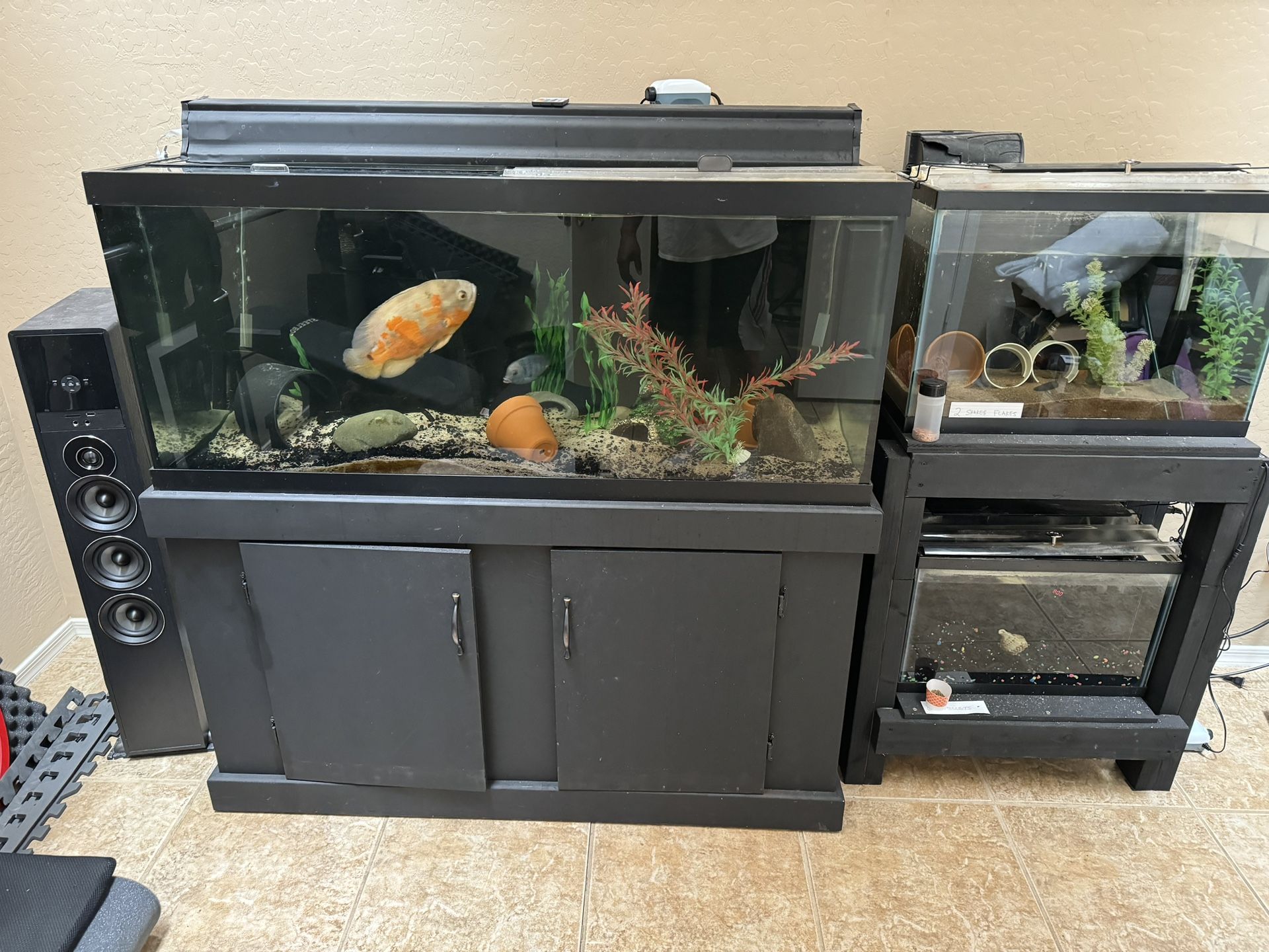 75 Gallon Fish aquarium With Cabinet & Glass Tops