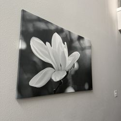 Floral Canvas Art