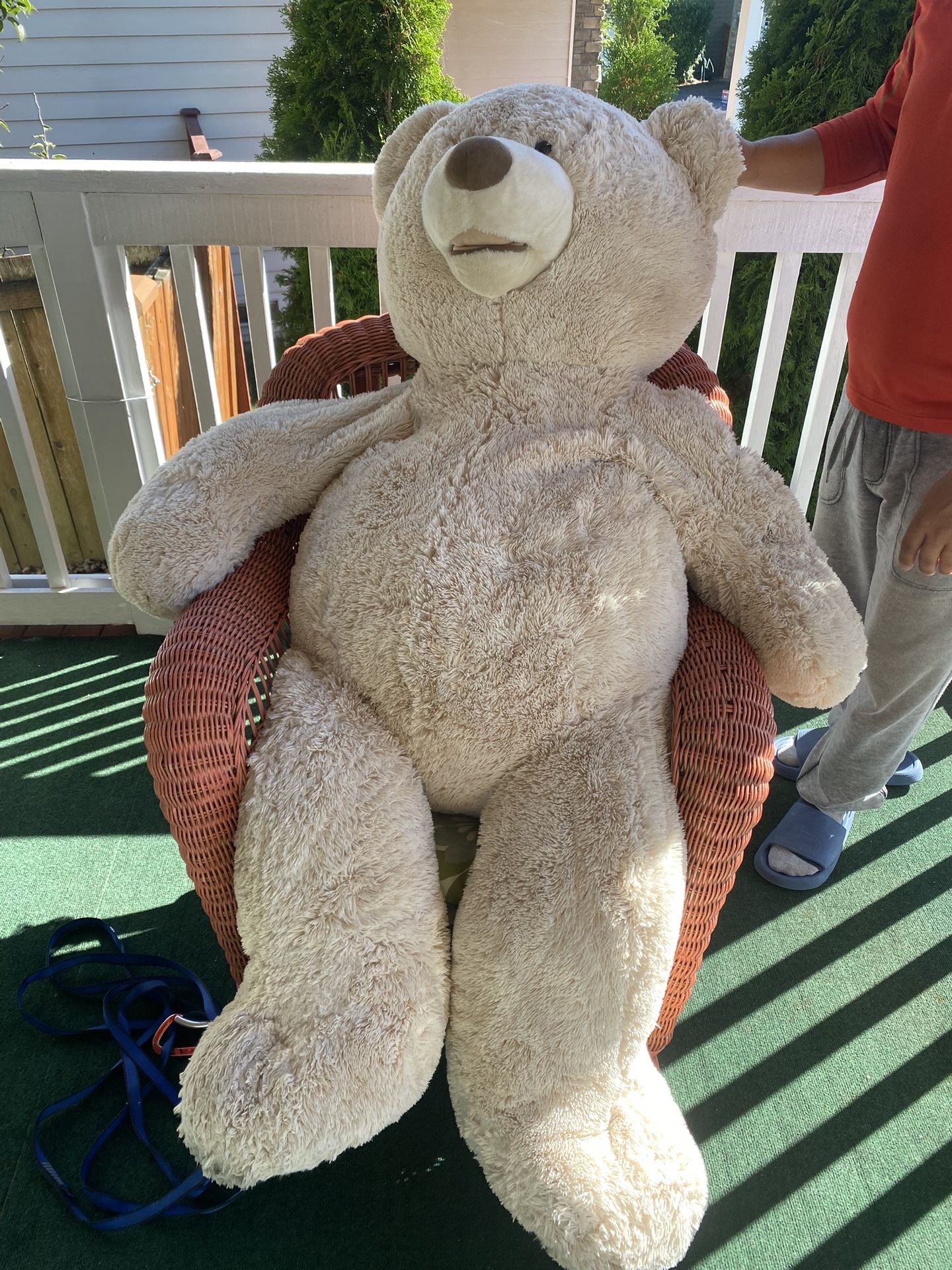 Life-Size Teddy Bear
