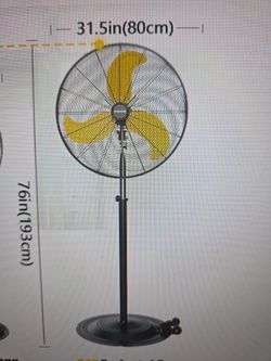 Fan