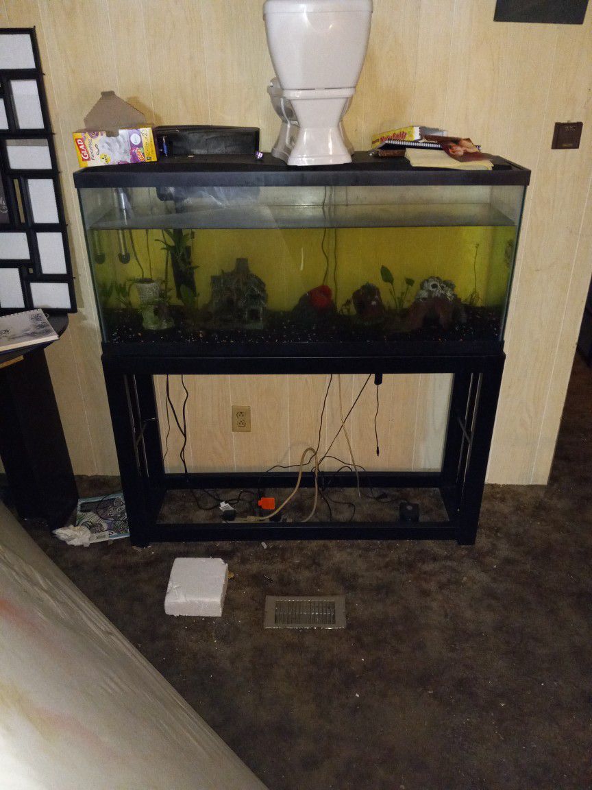 Big I Think 30 Or 40 Gallon Fish Tank No Nothing About It Come With Stuff 