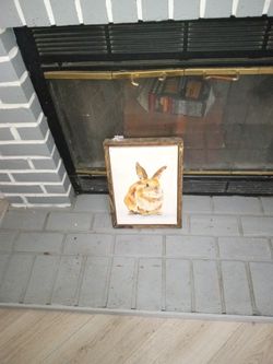 Rabbit Canvas Art
