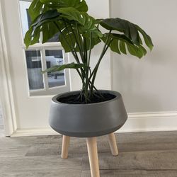 Artificial Monstera Plant + Modern Planter