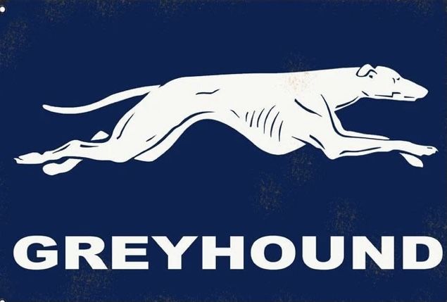 Greyhound