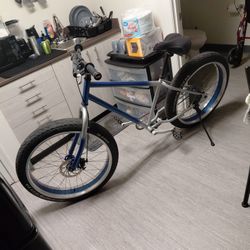 Beach Bum Fat Tire Bike