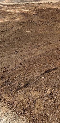 Need Free Clean Dirt