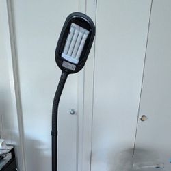 Adjustable Floor Lamp 