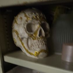 Skull