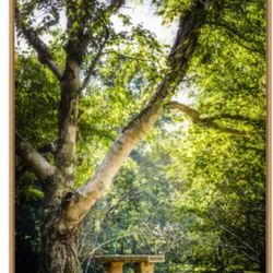 Wintergreen Landscaping L L C