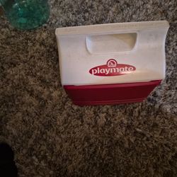 Play Mate Mini cooler 
