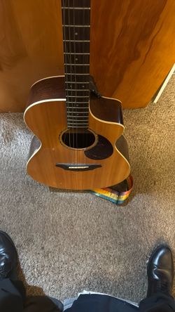 Breedlove Passport Series Acoustic + Pickup Guitar (works with amplifier, strings and string changing equipment included) 