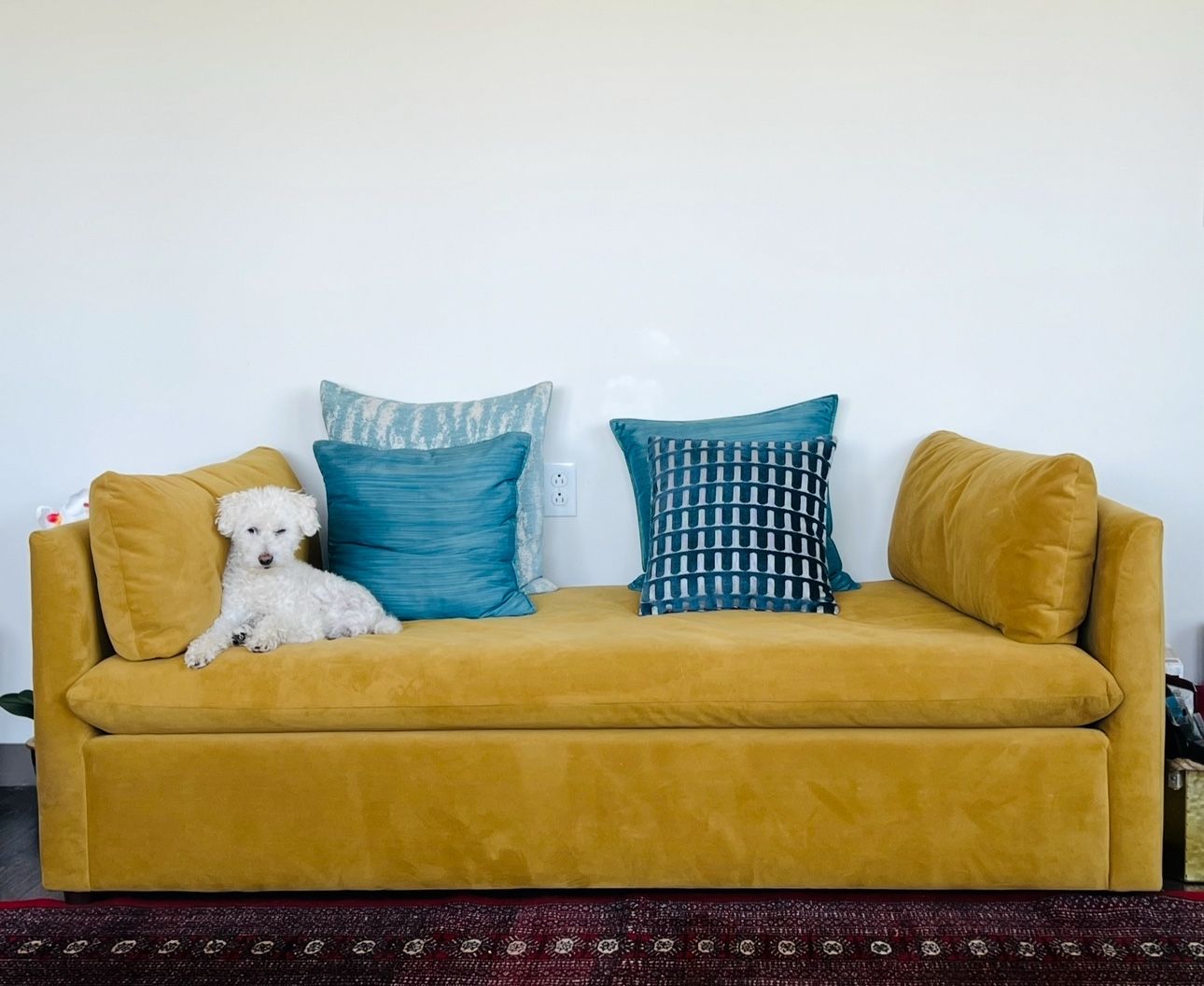West Elm Dijon Velvet Day Bed