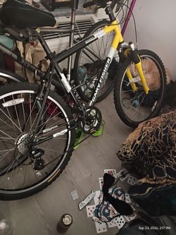 Top Quality Bike for real