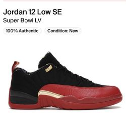 Jordan 12 Retro Low Super Bowl Size 7