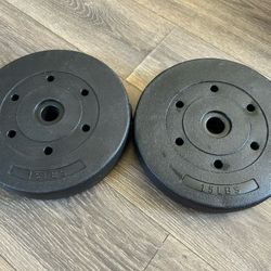 15 Lb Barbell Plates (2x)