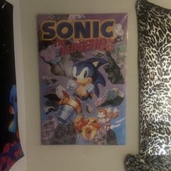Sonic Vintage Poster 