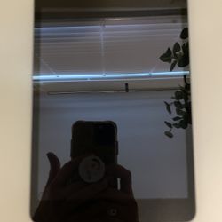 iPad mini 2