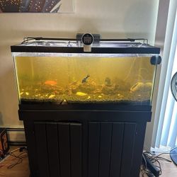 Fishtank & Stand 