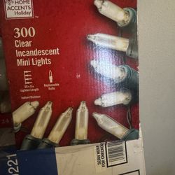 Christmas Ornaments and lights