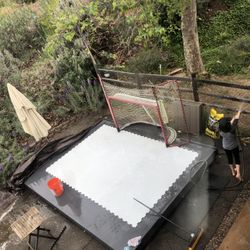 Hockey Shot Synthetic Ice