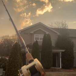 Shimano Calcutta 201b