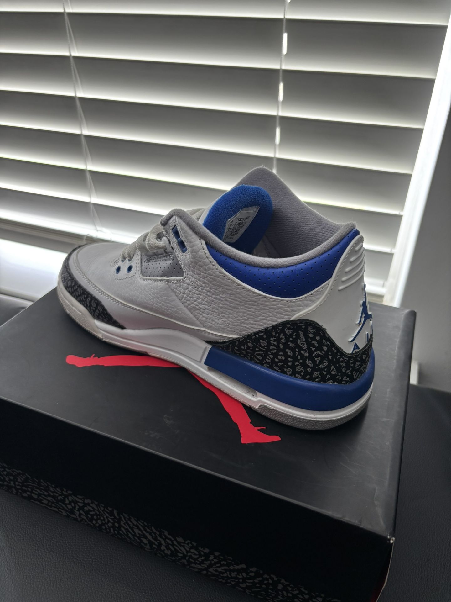 Air Jordan 3s