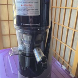 Tenergy Masticating Slow Juicer